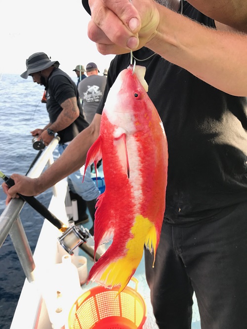 Fishing in South Carolina